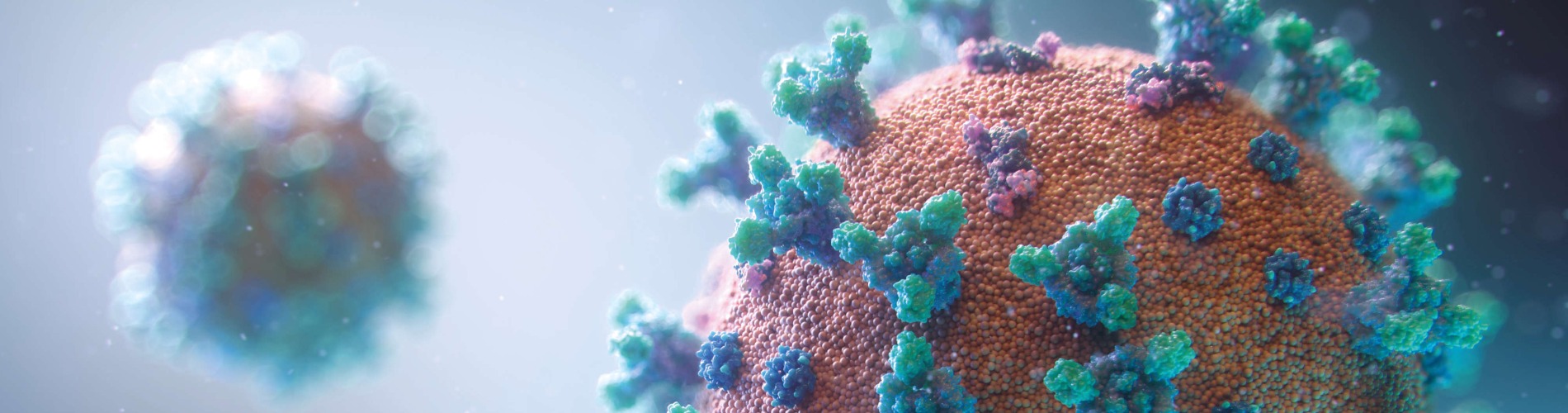 3d illustration of a corona virus